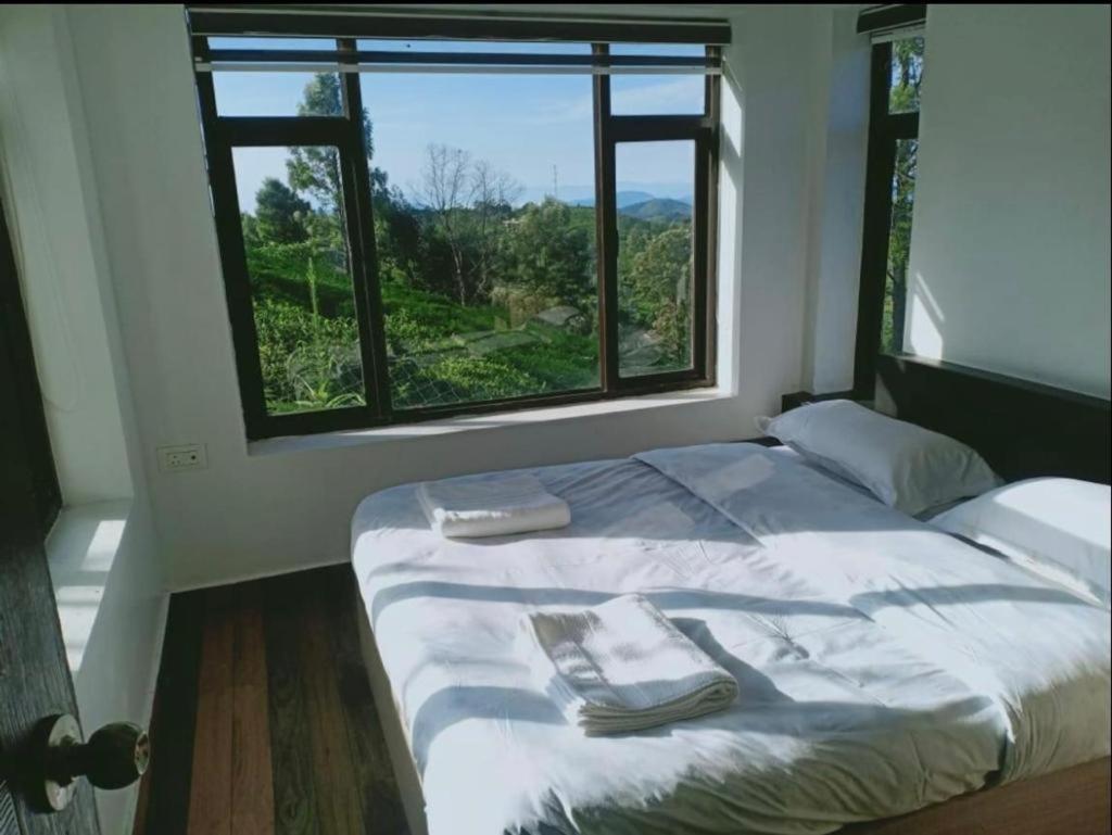 אוטי Carrot Creek Resort מראה חיצוני תמונה